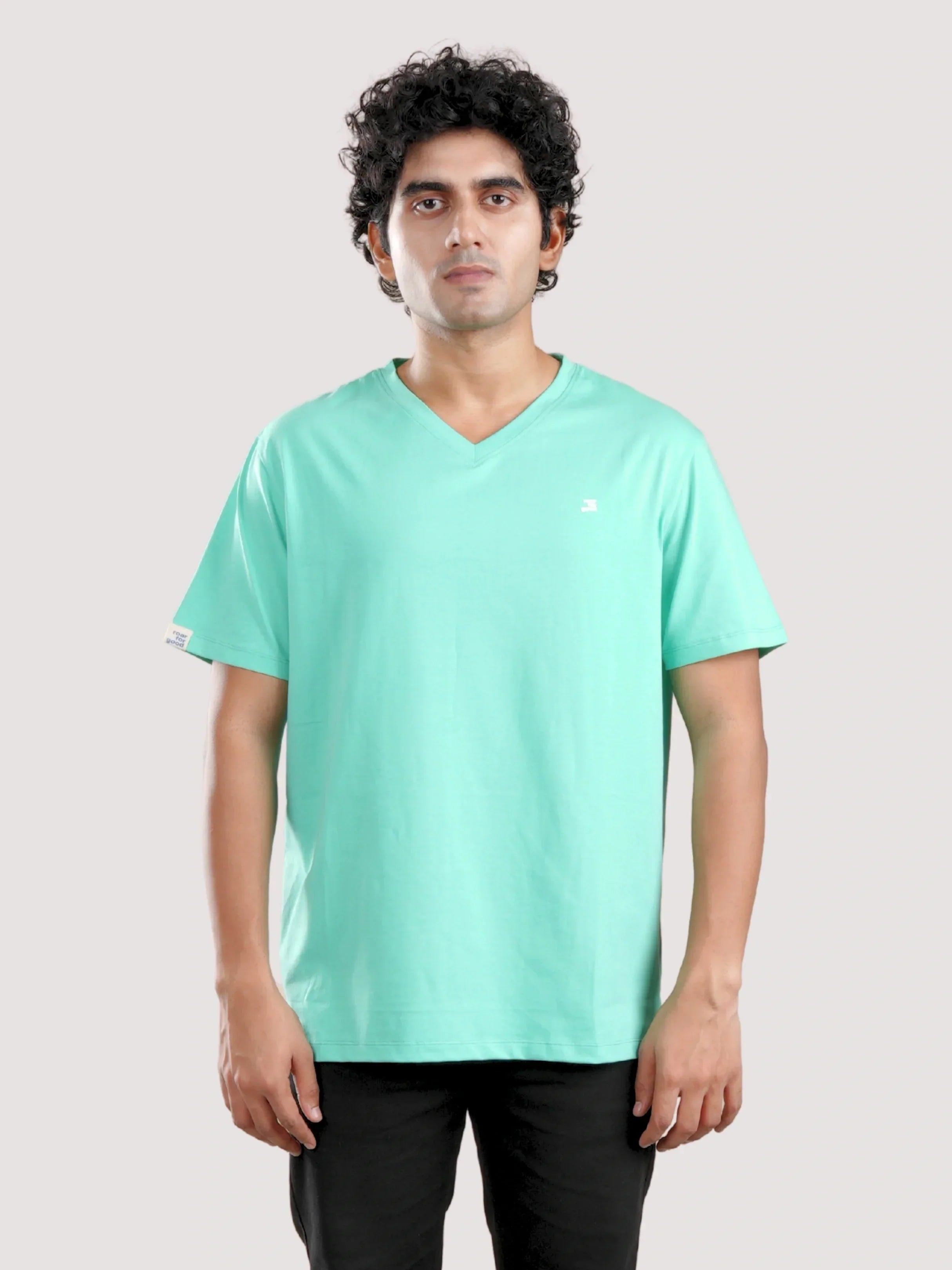 #color_holy-green