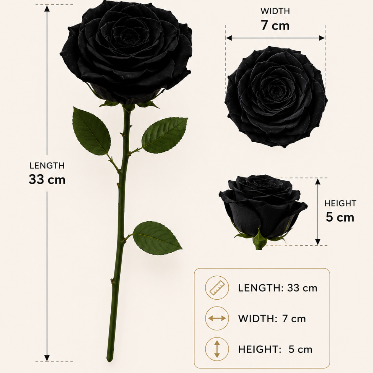 Midnight Noir Preserved Black Rose | Real Black Rose for Décor & Gifting - https://artecasa.in/