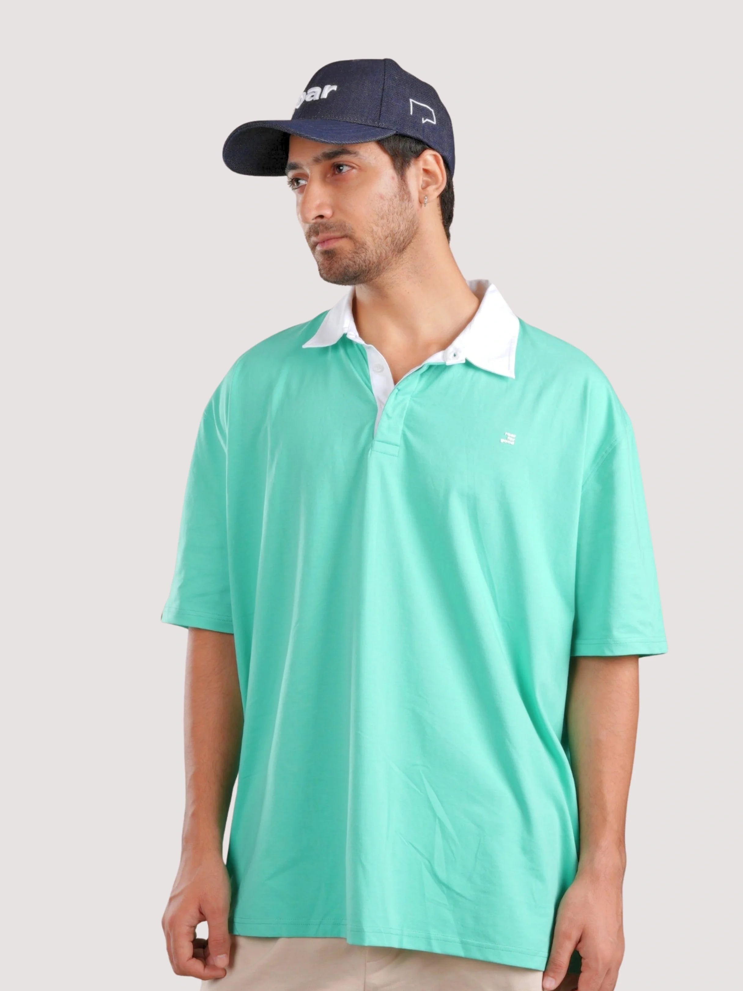 #color_holly-green