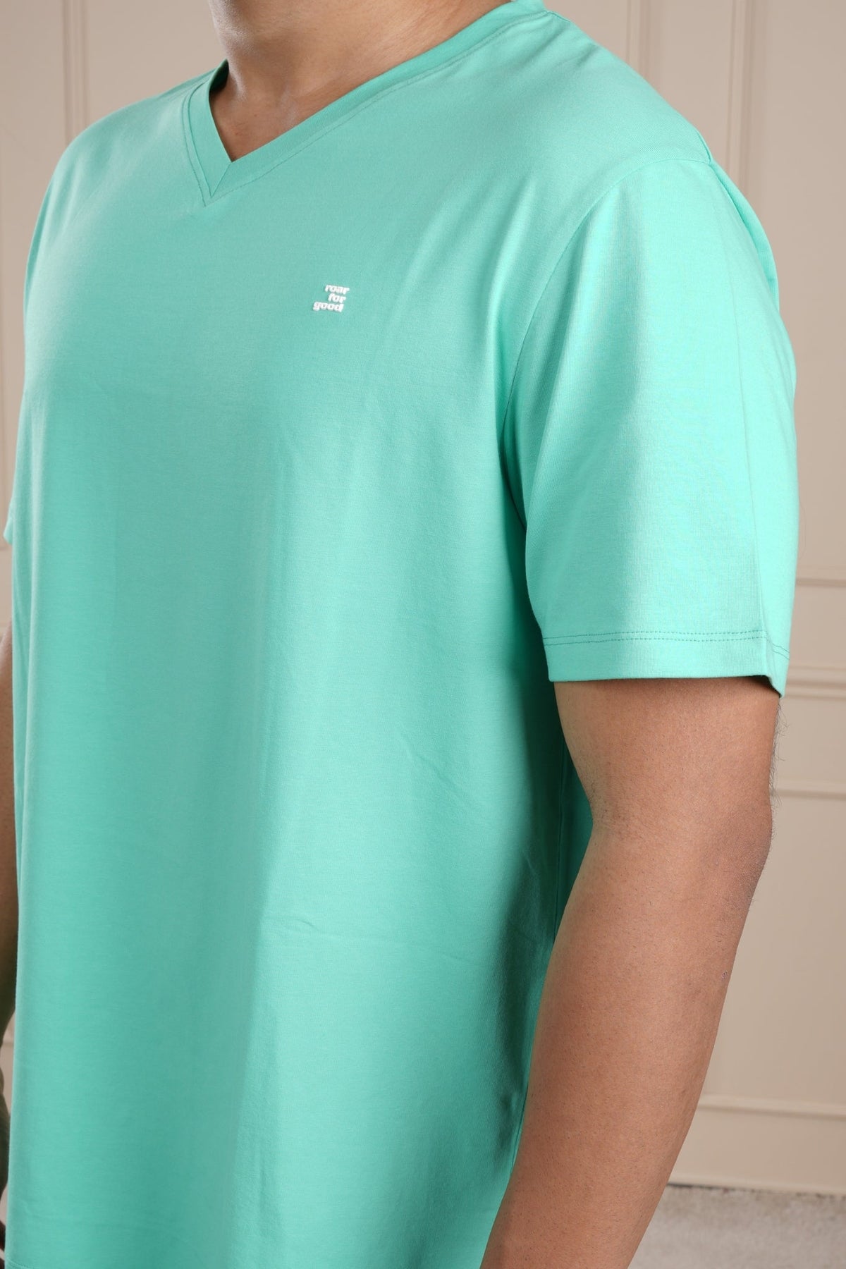 #color_holy-green
