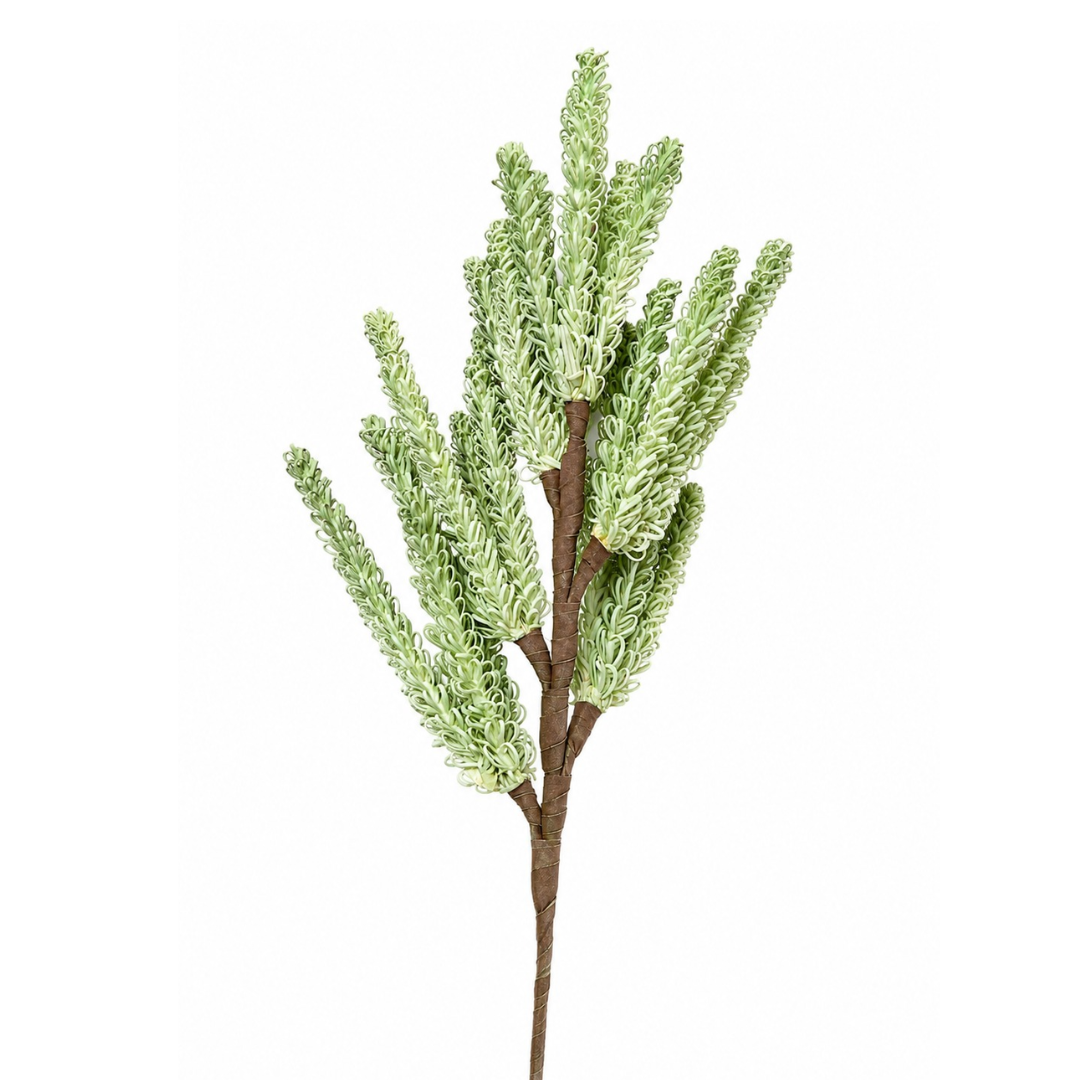 Meadow Mist Green Pampas Reed Stem | Diwali Decor - https://artecasa.in/