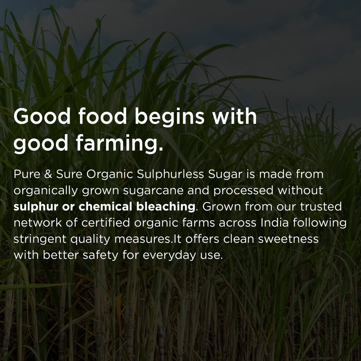 Sugar Our Process