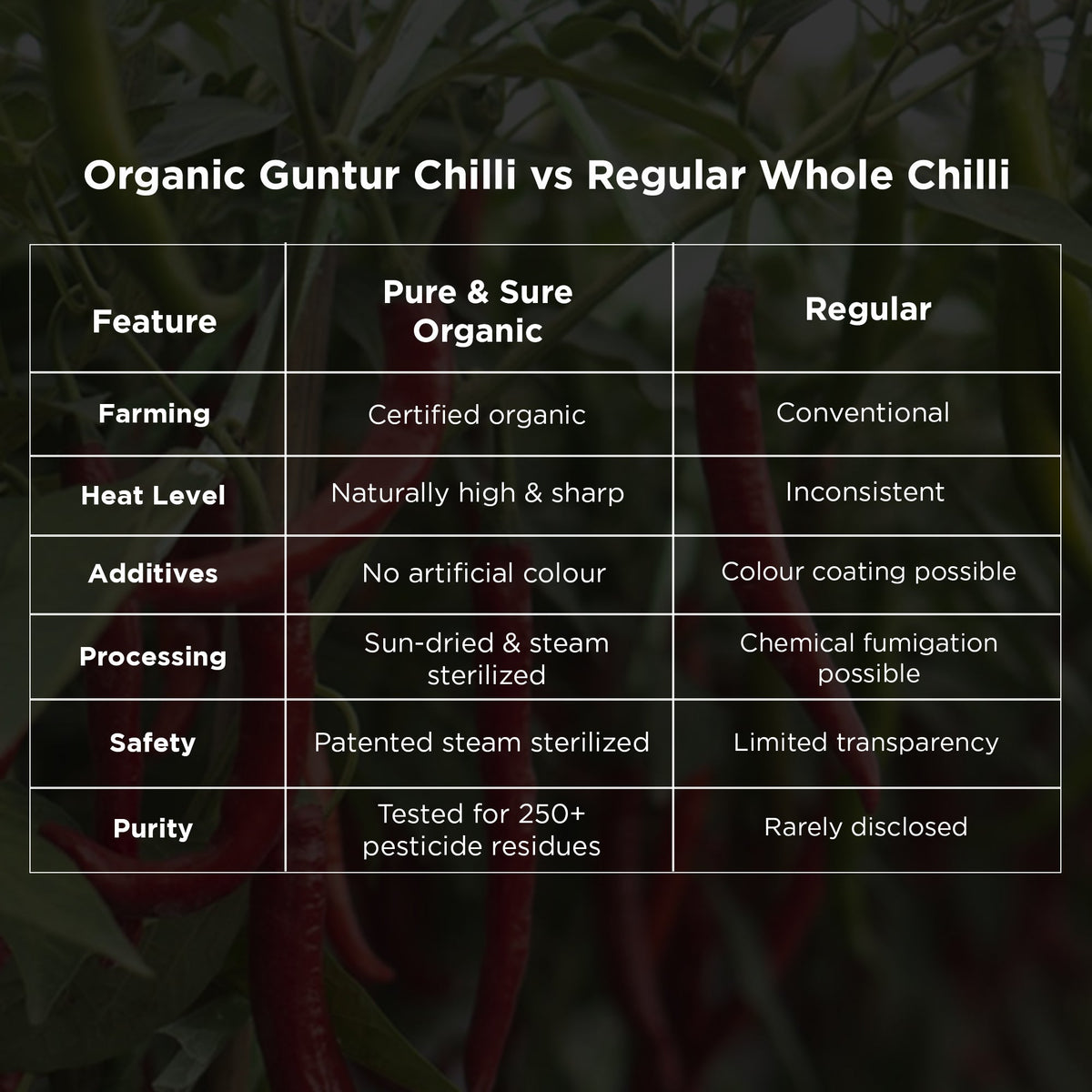 Guntur Chilli Comparison