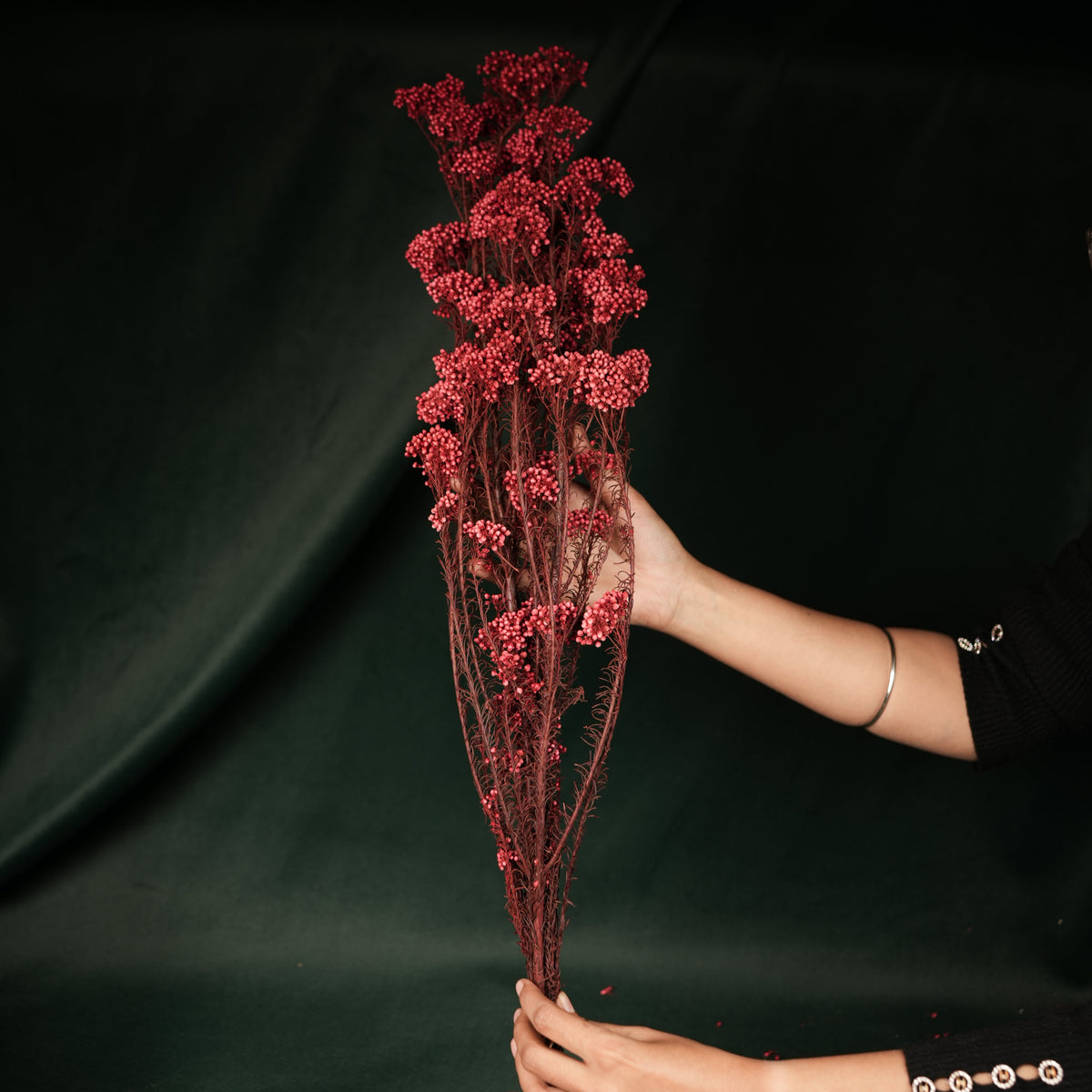Dried Rice Flowers for Decor | Natural Floral Bunch - https://artecasa.in/