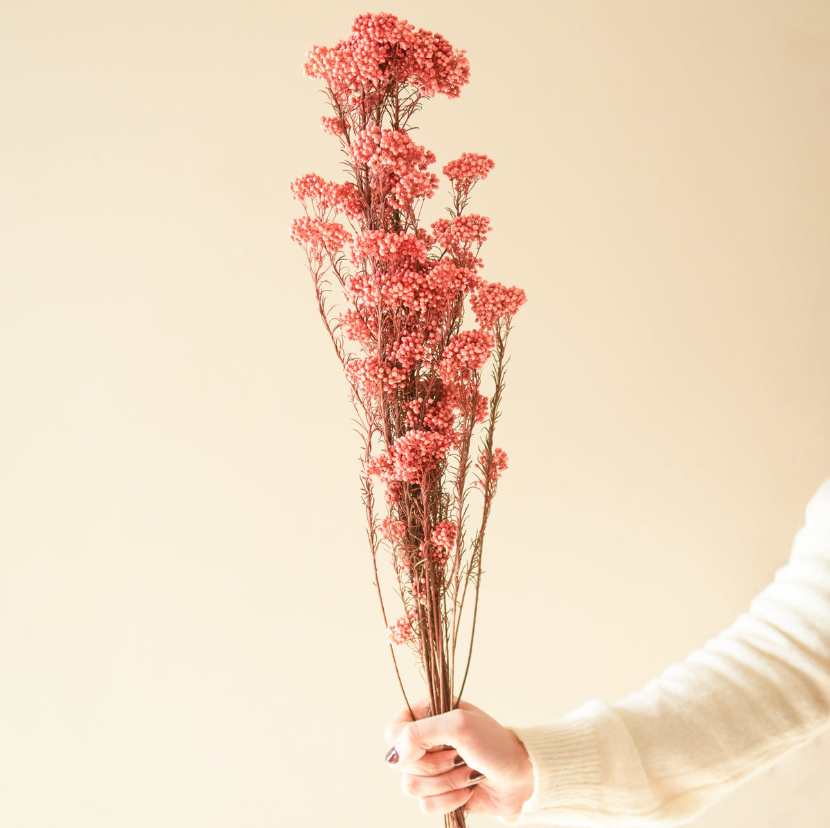 Dark Pink Rice Flower Dried Bunch | Aesthetic Natural Dried Flowers for Home Decor & Gifting – ArteCasa - https://artecasa.in/