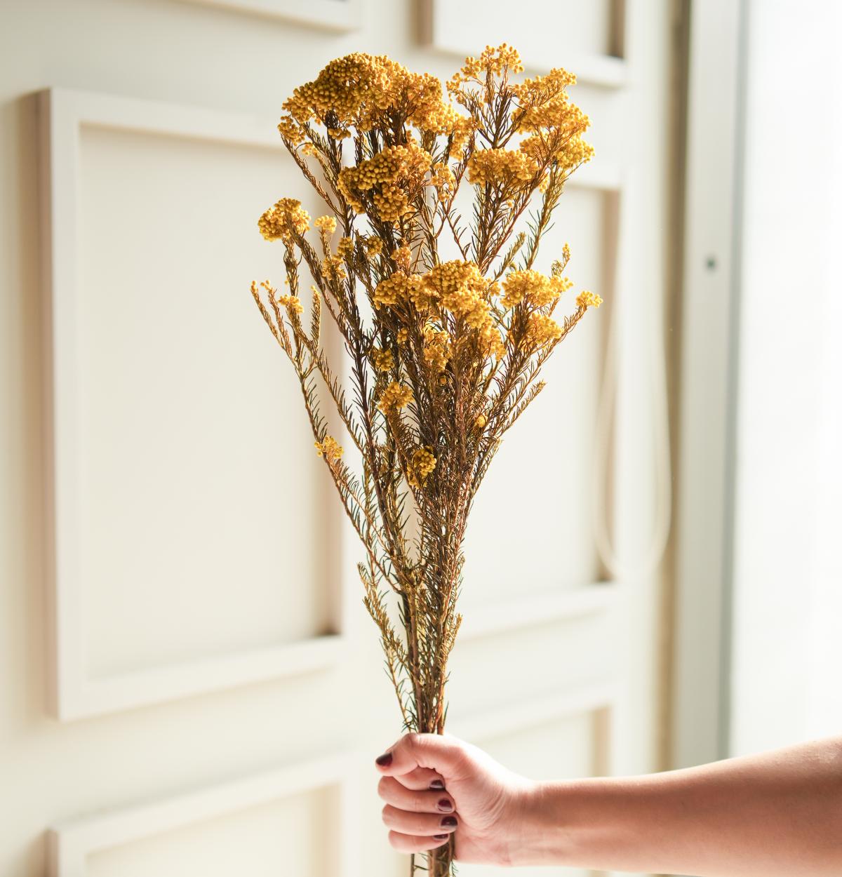 Rice flower-Yellow - https://artecasa.in/