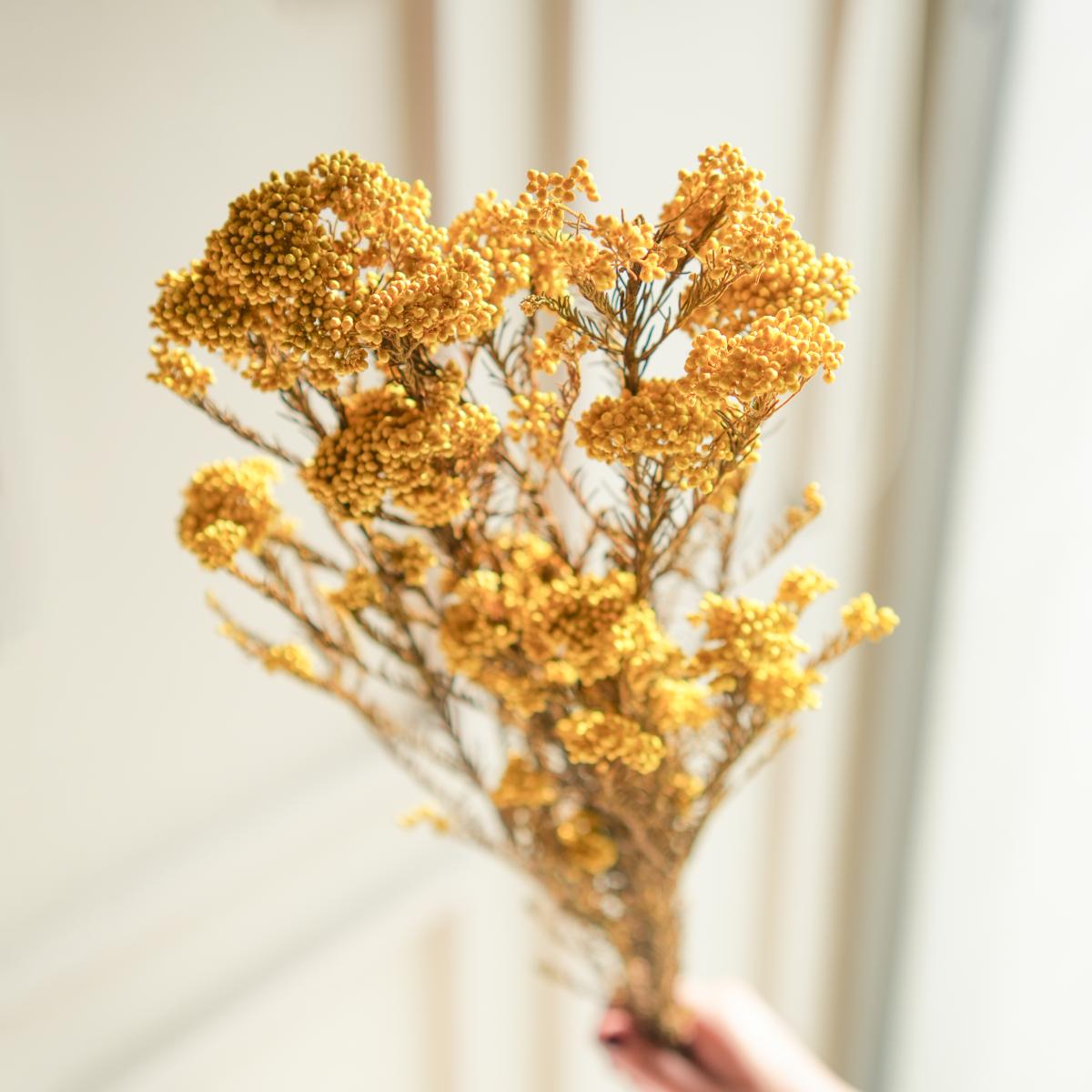 Rice flower-Yellow - https://artecasa.in/