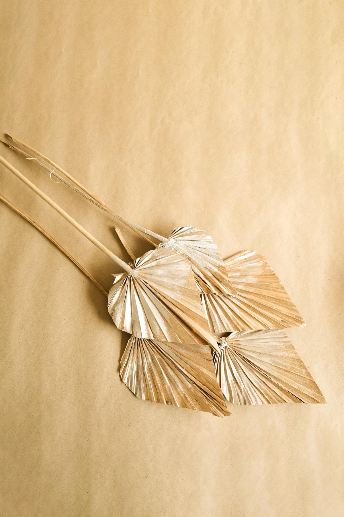 Golden Silver dual tone palm leaves - https://artecasa.in/