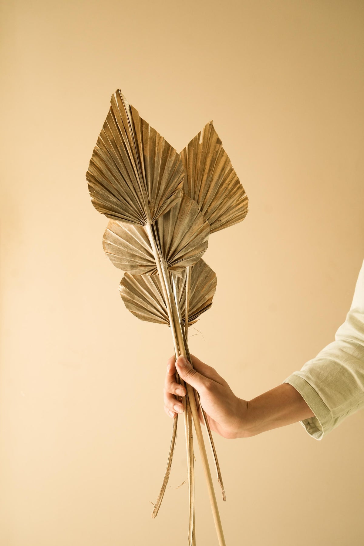 Golden Silver dual tone palm leaves - https://artecasa.in/