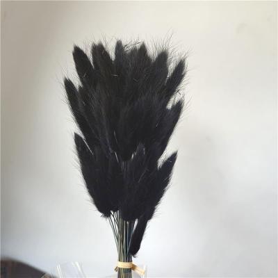 Black Bunny Tails - https://artecasa.in/