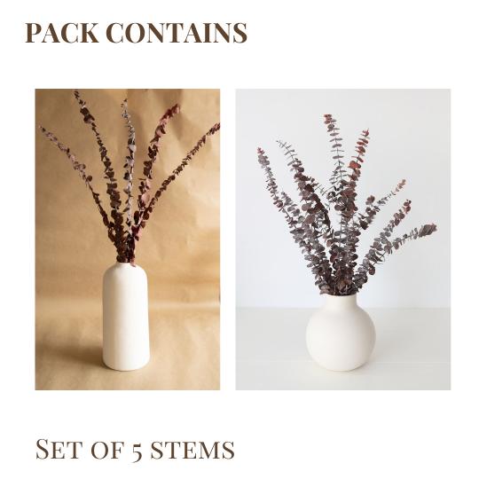 Brown Eucalyptus leaves - https://artecasa.in/
