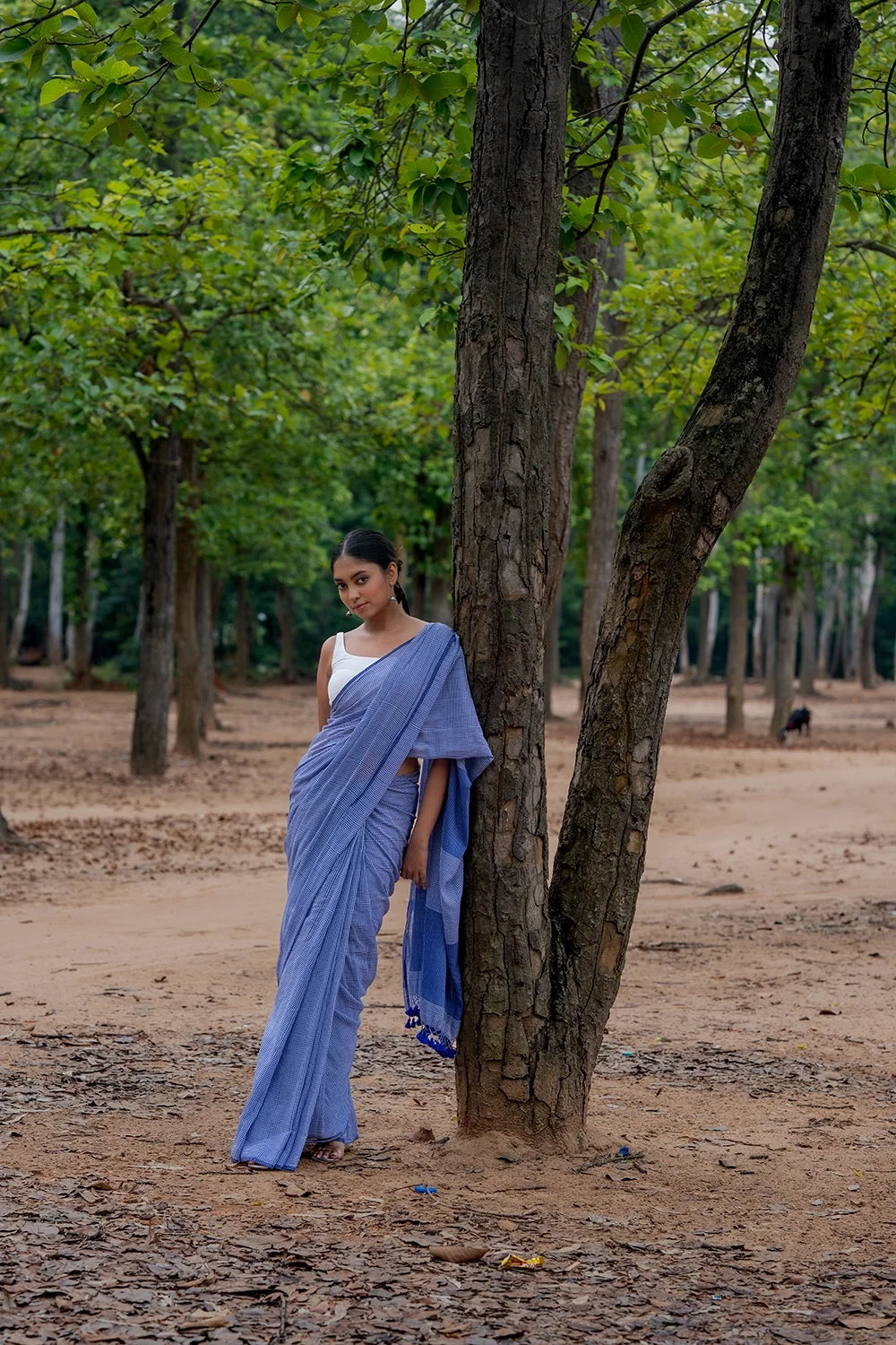 Handloom Blue Check Mul Cotton Saree-Sutra Art of Clothing