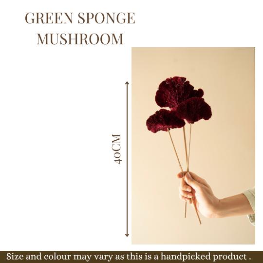 Red Sponge mushroom - https://artecasa.in/