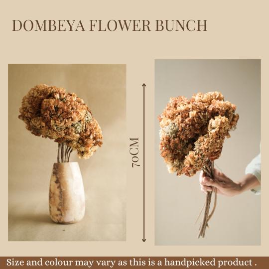 Dombeya flower bunch - https://artecasa.in/