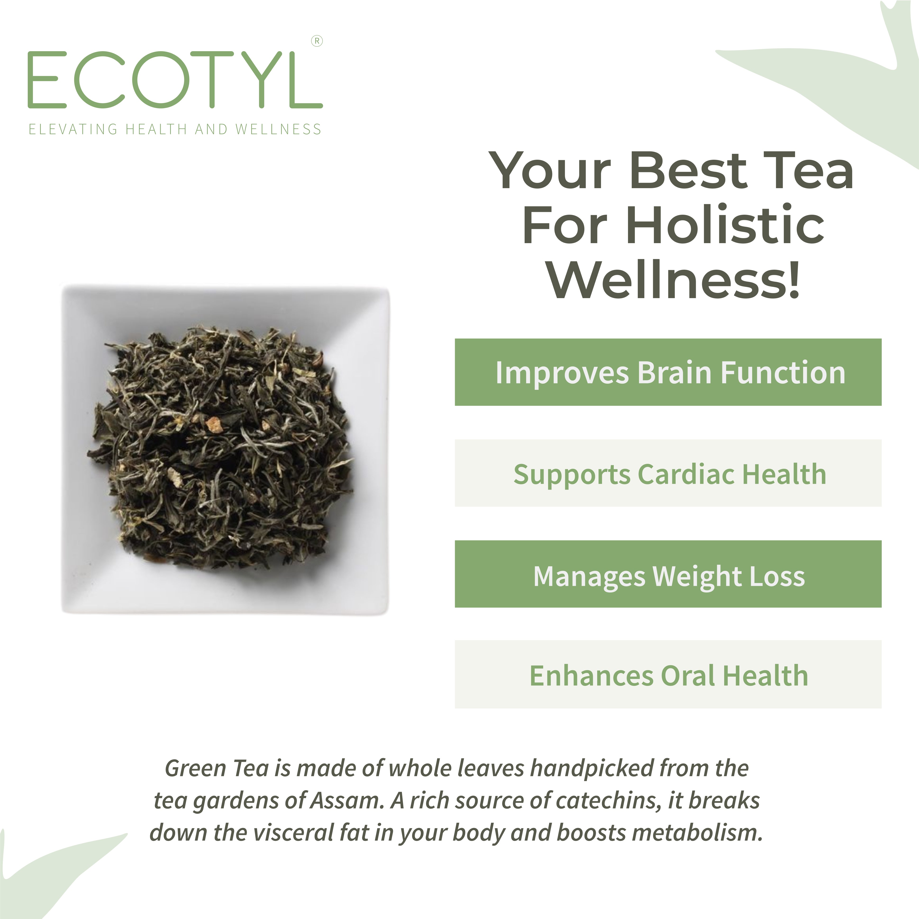 Green Tea Leaves - Ecotyl - 100% Organic I Sustainable