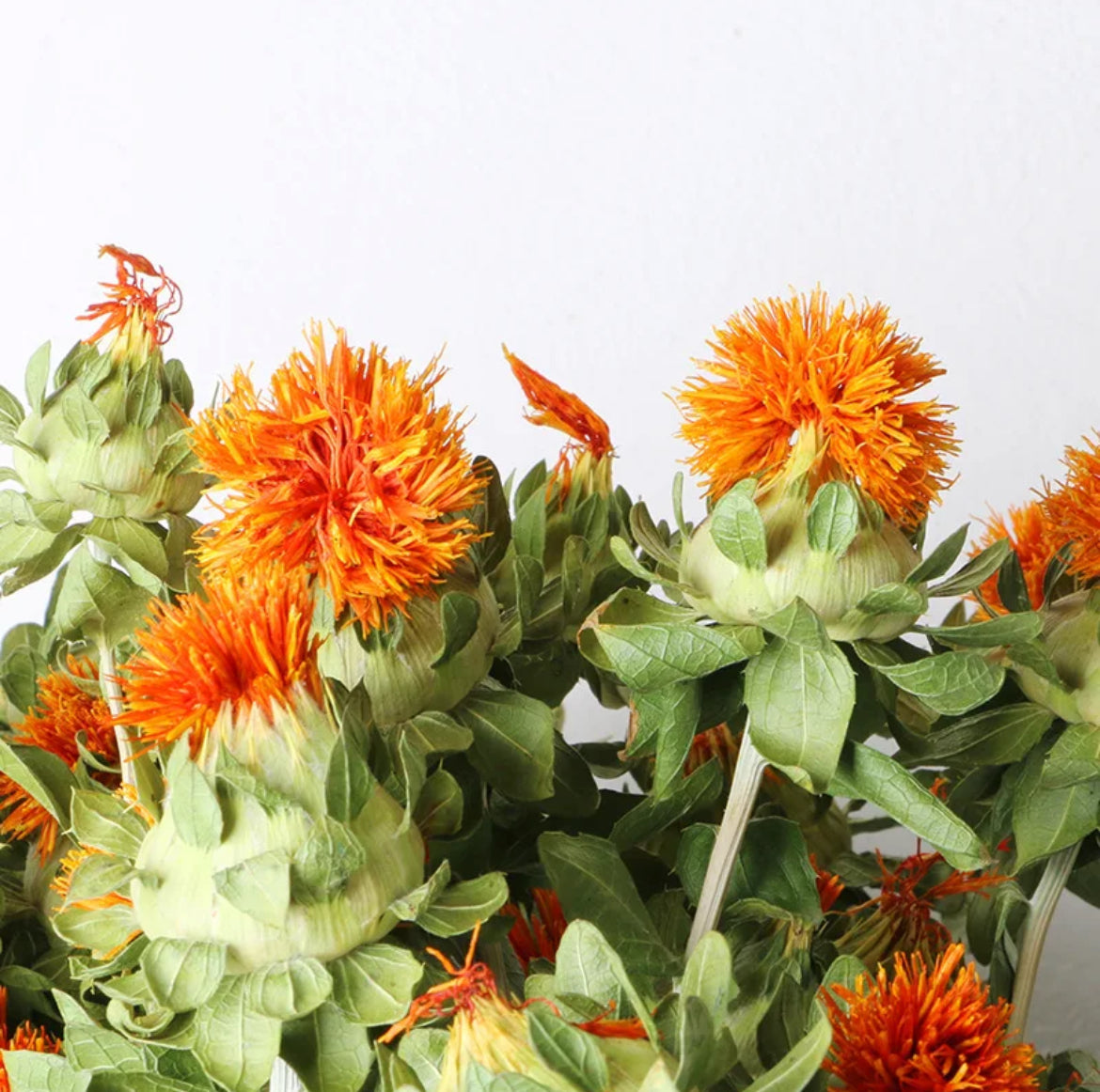 Dried safflower - https://artecasa.in/