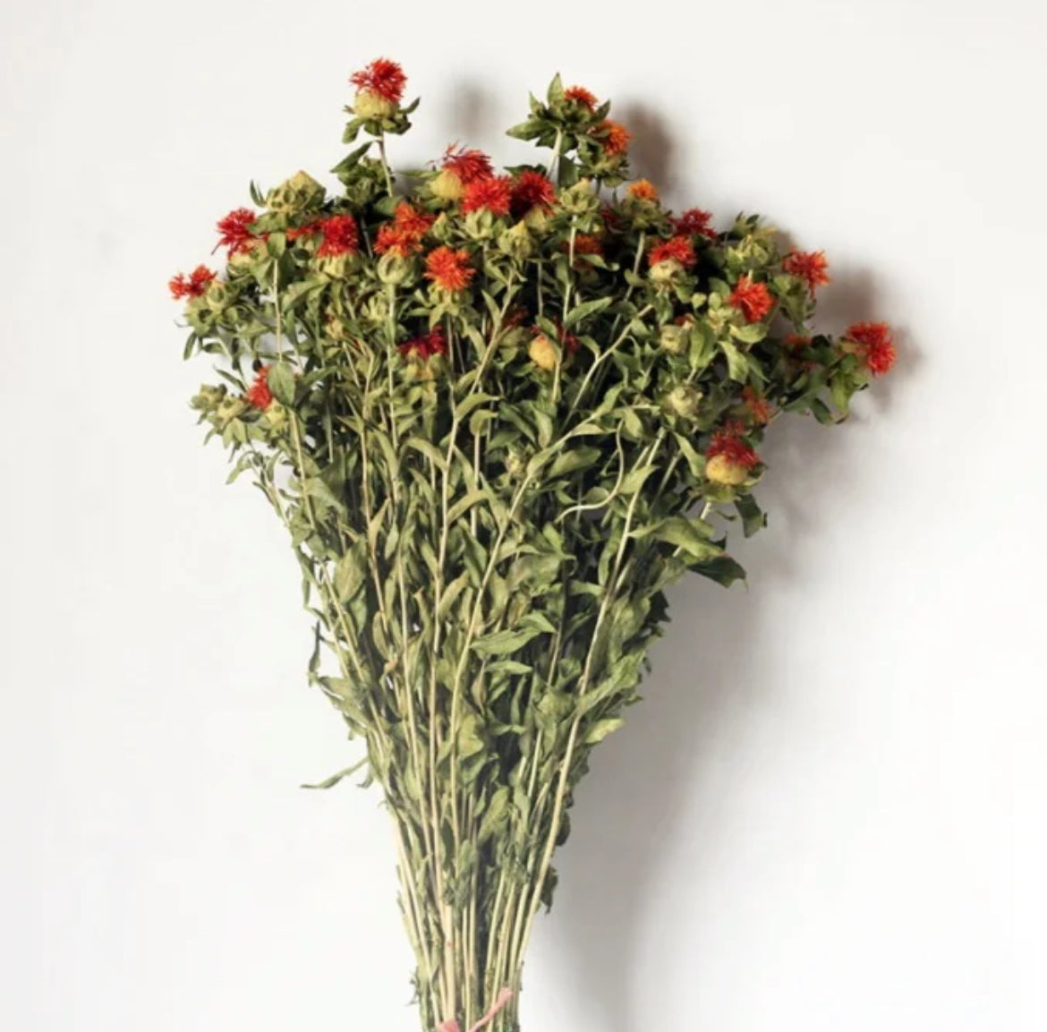 Dried safflower - https://artecasa.in/