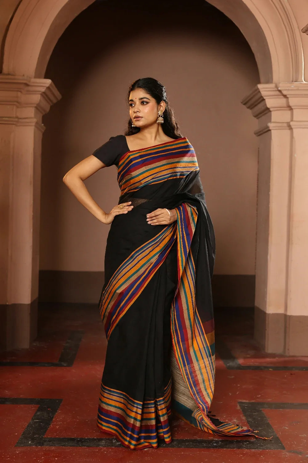 Handloom Black White Pure Cotton Saree with Multi Colour Stripes