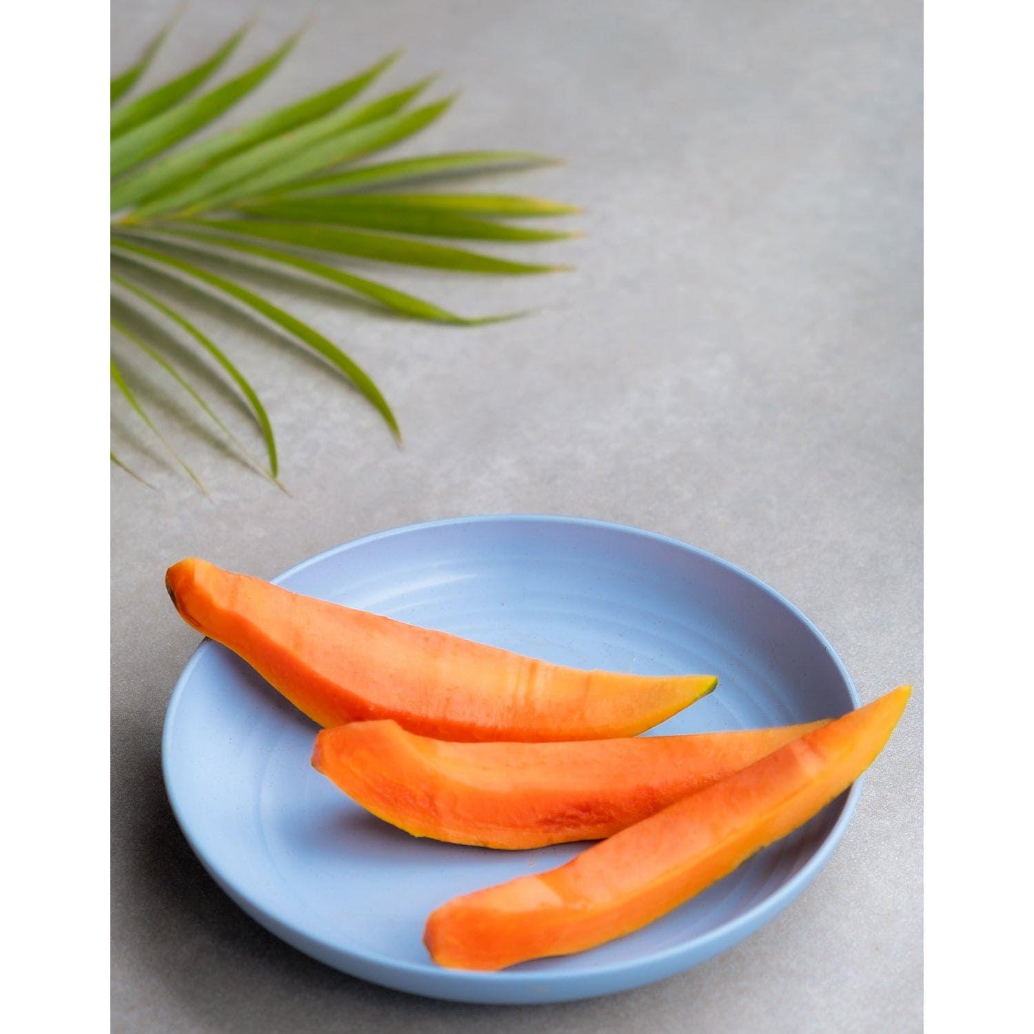 Wheat Straw Snack Plates