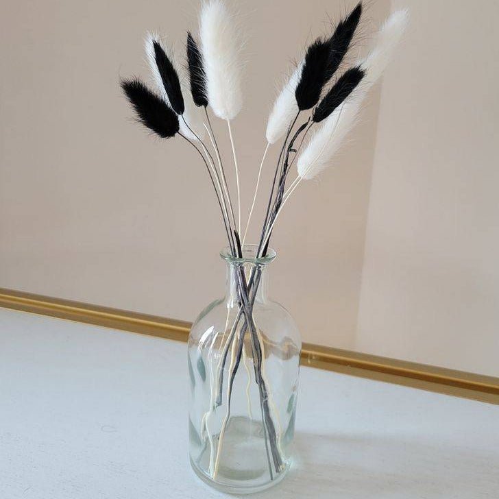 Black Bunny Tails Natural Lagurus Dried Flowers in Decorative Vase