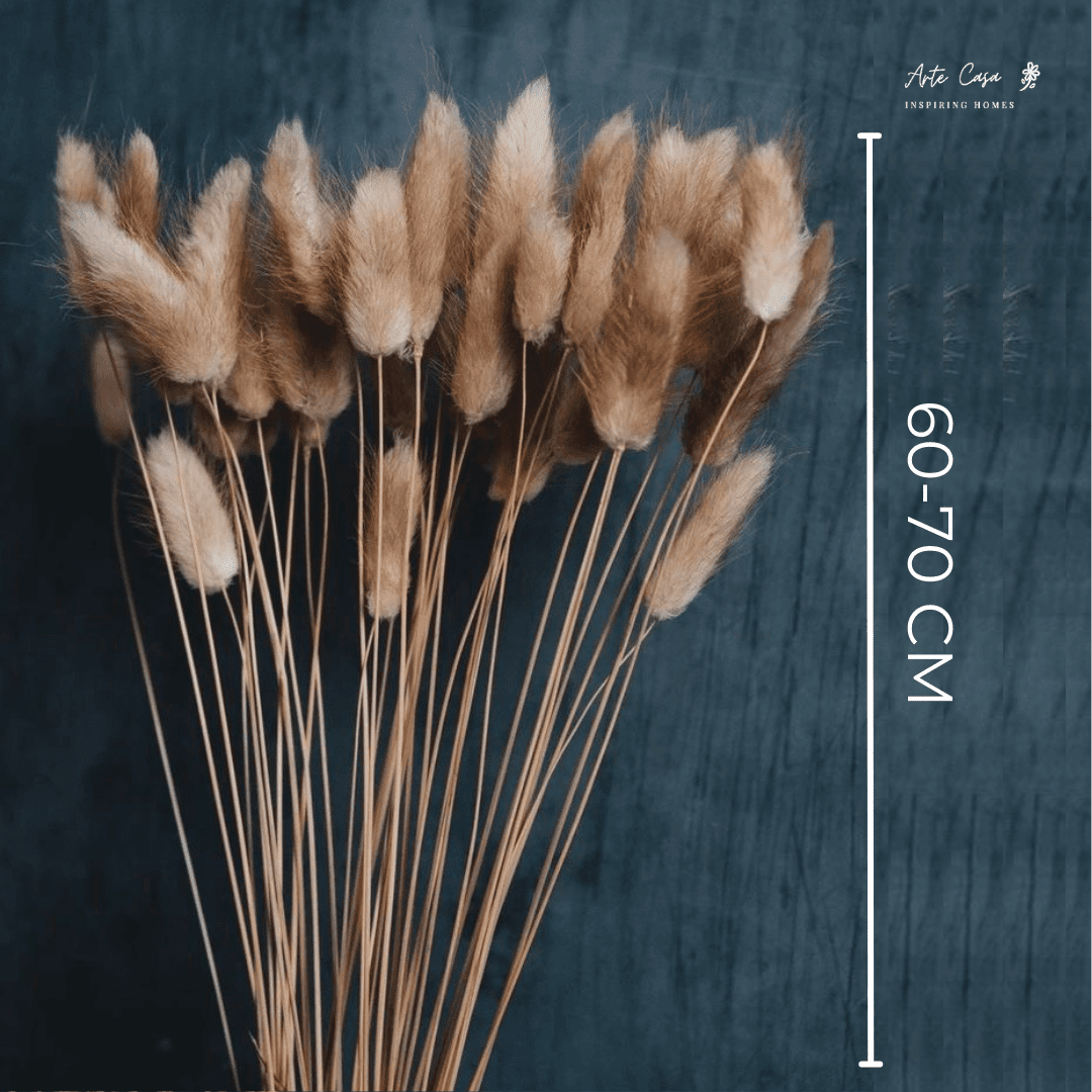 Brown Bunny Tail dried flower bunch for vase decor, bouquet arrangements and aesthetic home styling by ArteCasa.
