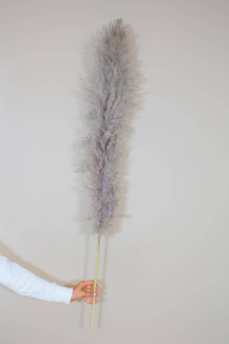 Imported Charcoal Pampas Grass for Interior and Entryway Decor