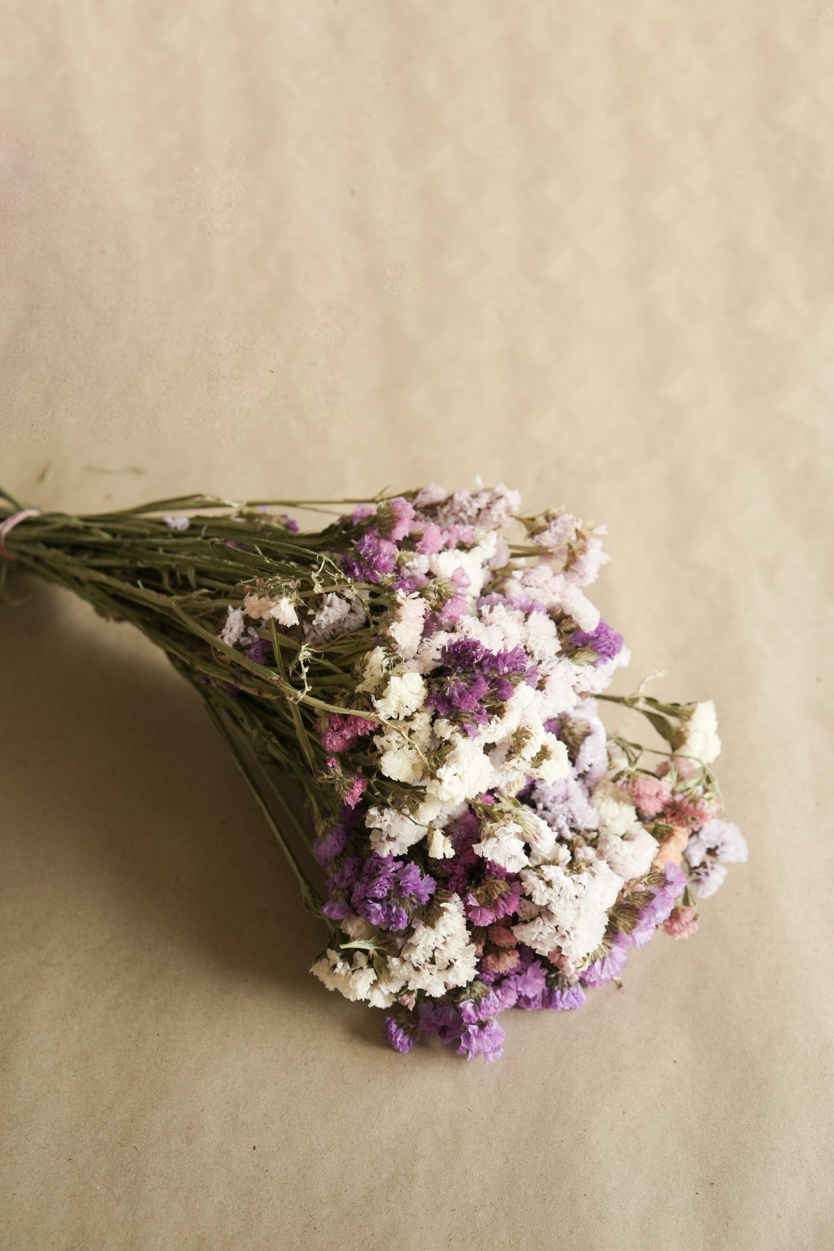 Close up of colourful Statice dried flowers for bouquet and floral arrangements