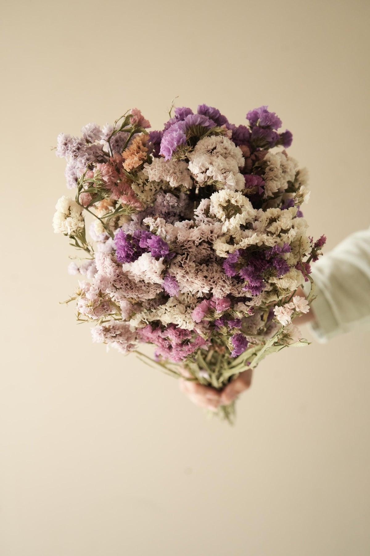 Colourful Statice dried flower arrangement for vase decor and interior styling