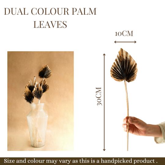 Golden Black Palm Spears for Home Decor Styling
