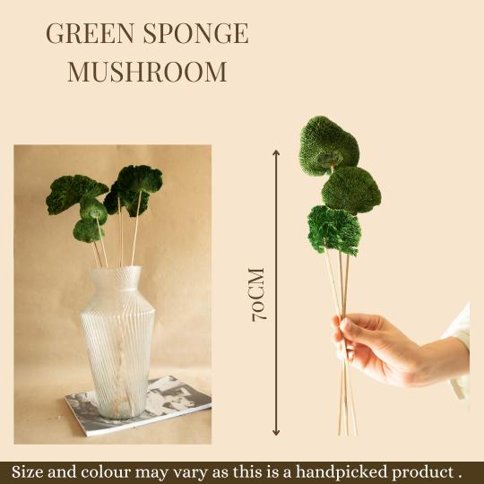 Green Sponge Mushroom Dried Flower Décor for Vase Styling and Interiors