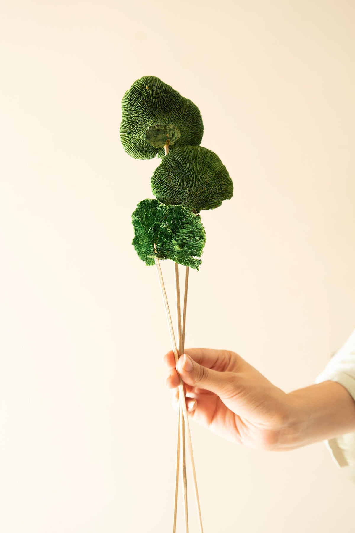 Green Sponge Mushroom Dried Flower in Decorative Vase Arrangement