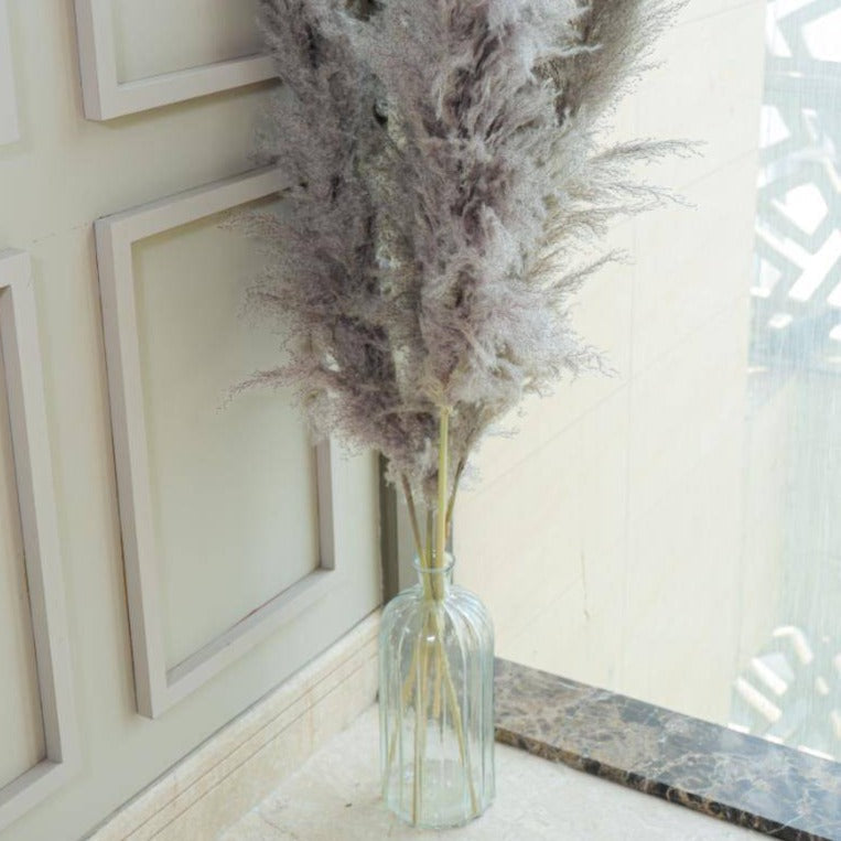 Imported Charcoal Pampas XL Set of 5 Stems for Home Decor