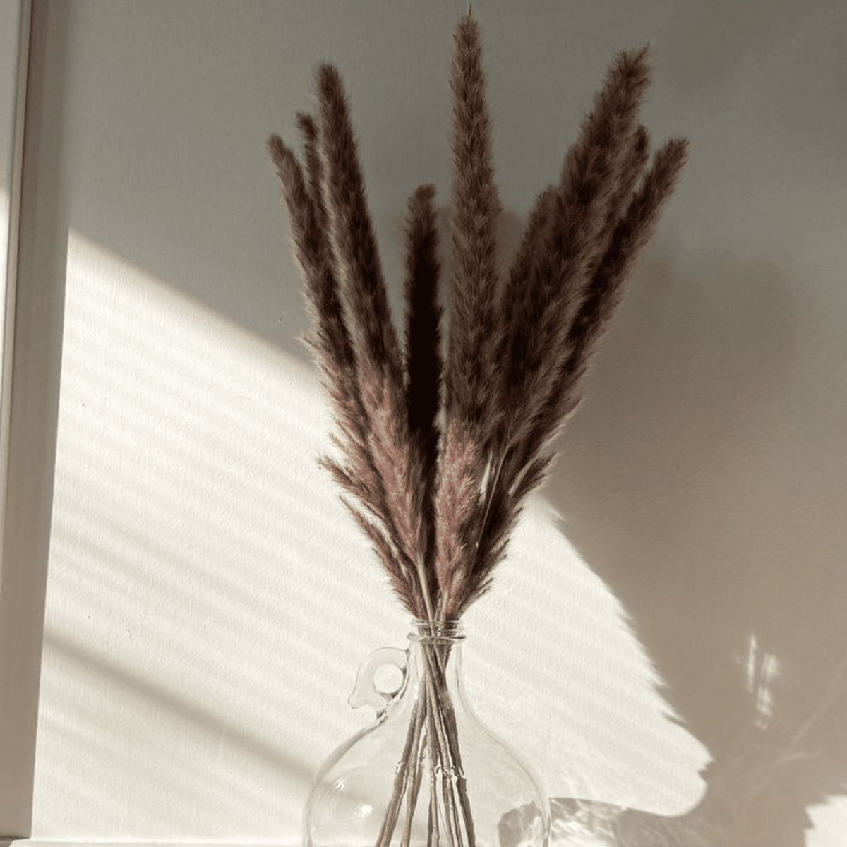 Mini Brown Pampas dried flowers bunch for vase decor and aesthetic home styling by ArteCasa