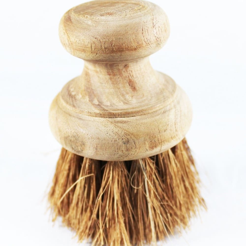 Pan Cleaning Coir Brush - Kitchen