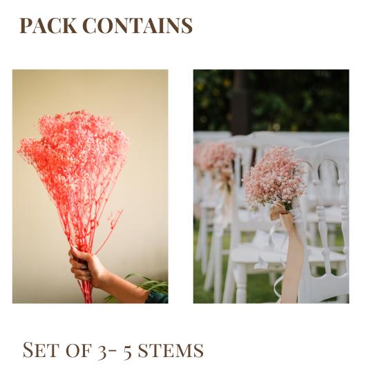 Pastel Pink Baby Breath Arrangement in Decorative Vase