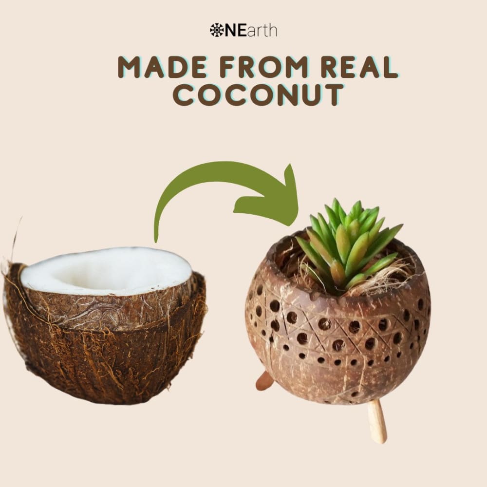 Planter / Tea Light Candle Holder - Coconut Shell - Home