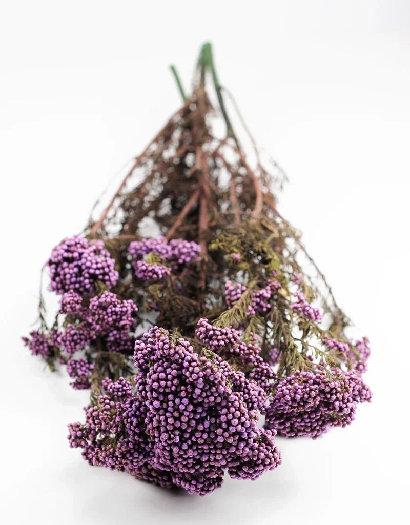 Purple Dried Rice Flower – Natural Forever Floral Décor | ArteCasa - https://artecasa.in/