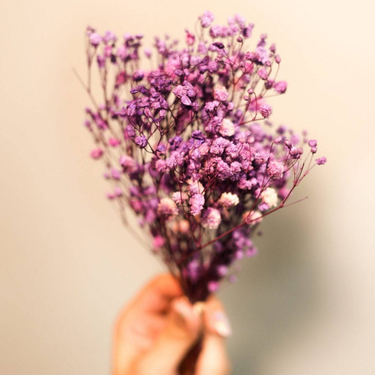 Purple Baby Breath arrangement for aesthetic vase decor and interior styling