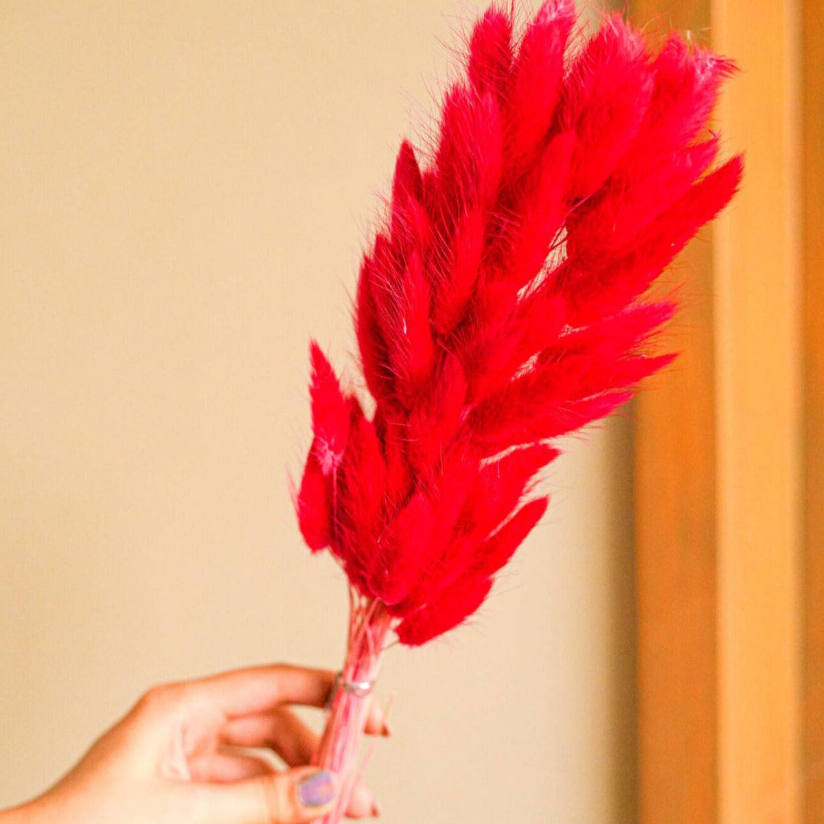 Red Bunny Tails Dried Flowers Arrangement in Decorative Vase