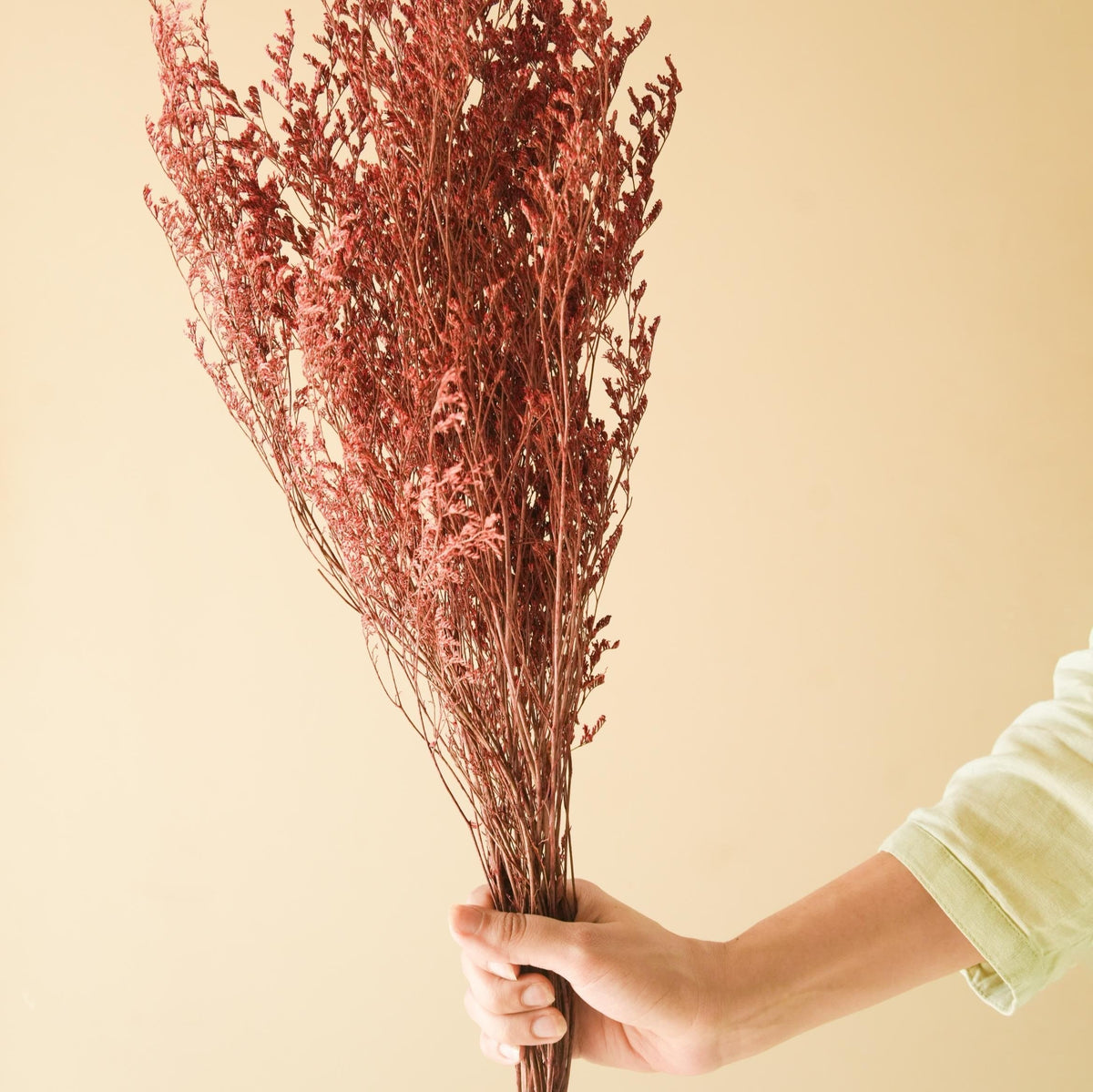 Red Limonium Dried Flower Bunch for Natural Floral Decor