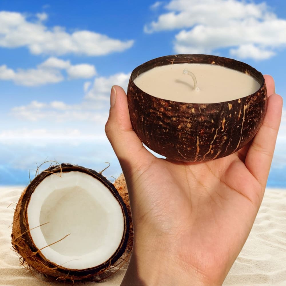 Soy Wax Candle - Coconut Shell (100gms only) - Pack of 1 /