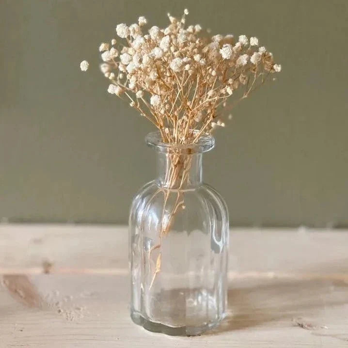 White Baby Breath dried flower arrangement for aesthetic home decor and vase styling