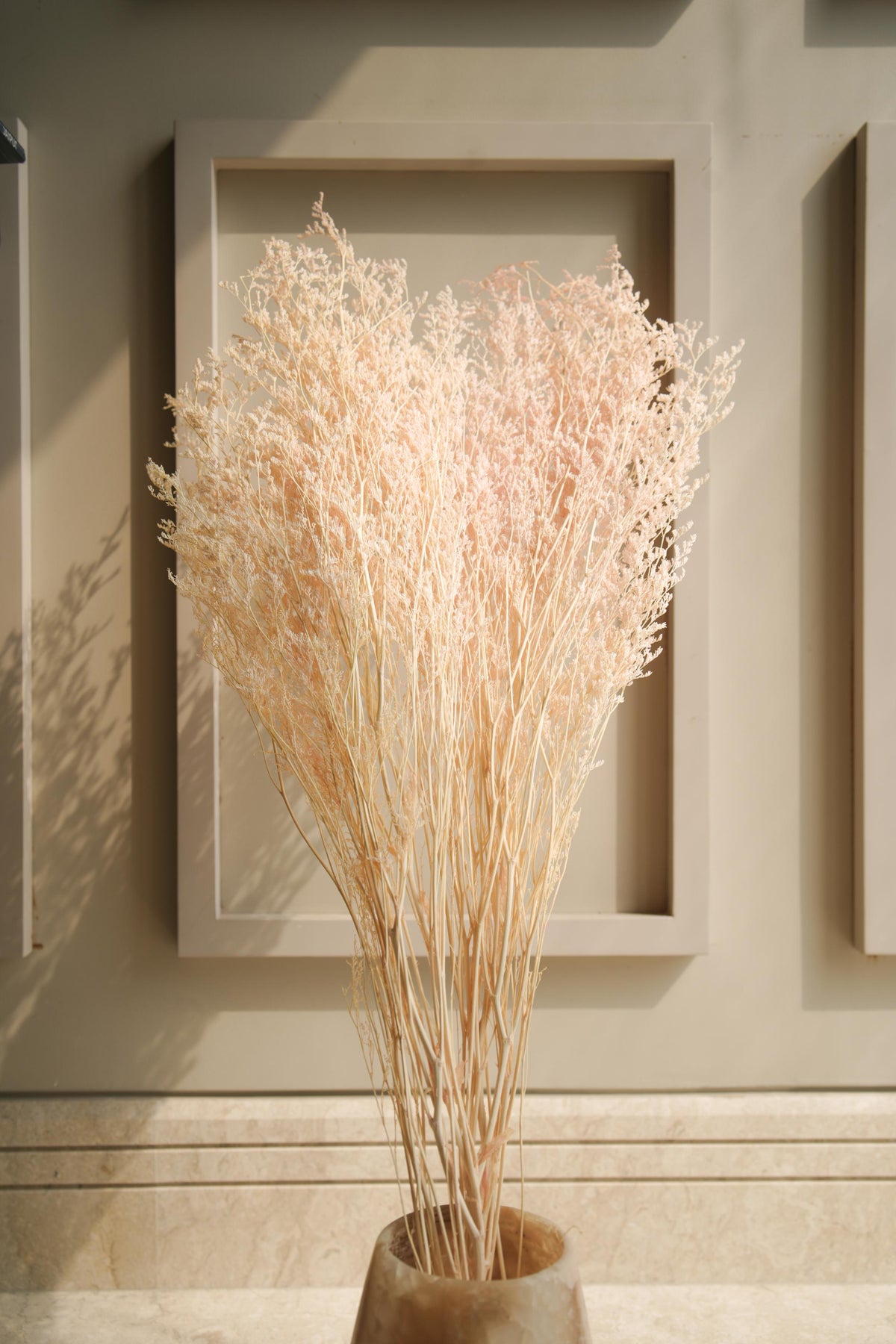 Close-up of White Peach Dual Colour Limonium Dried Flowers