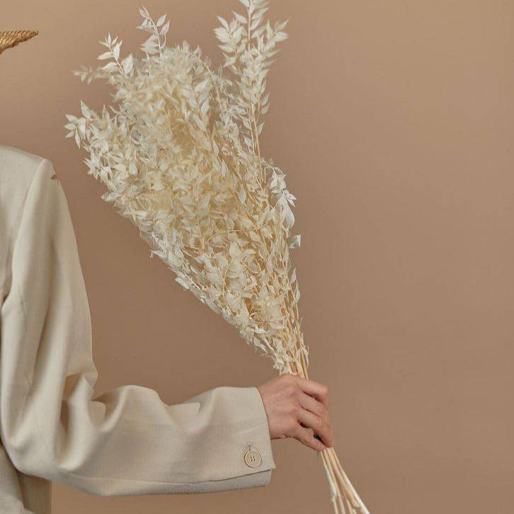 White Ruscus Dried Flowers Leaves for Vase Decor and Home Styling