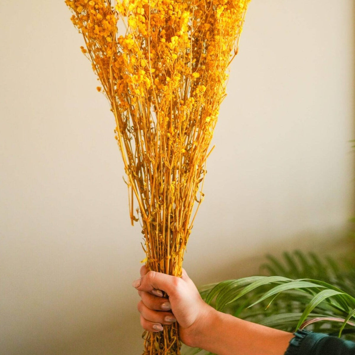 Yellow Baby Breath dried flower arrangement for aesthetic home decor and vase styling