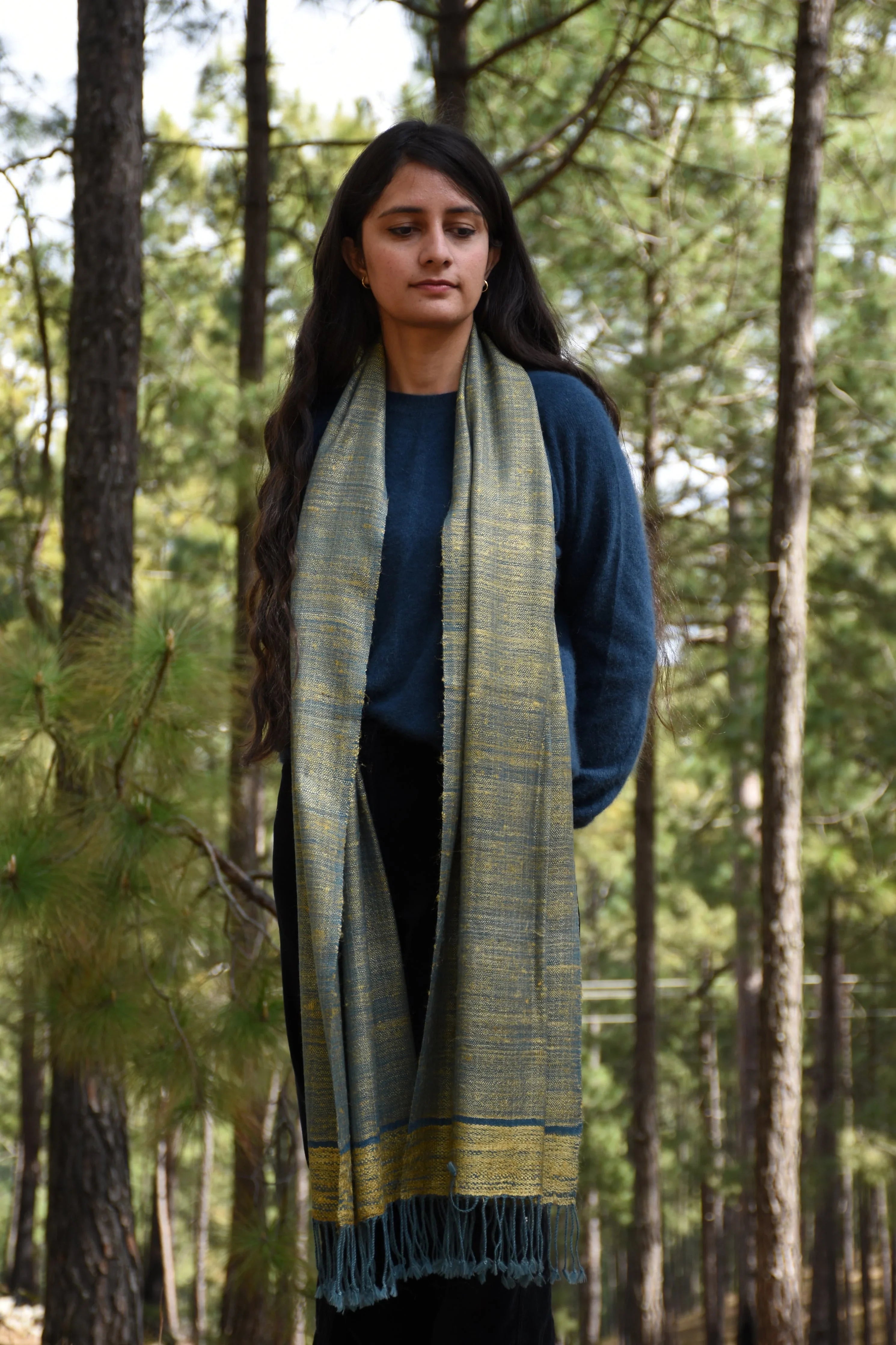AVANI