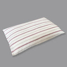 Dancing Dinosaurs - Organic Kids Blanket + Pillow - Oranges and Lemons