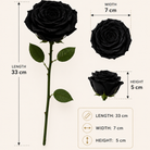 Midnight Noir Preserved Black Rose | Real Black Rose for Décor & Gifting - https://artecasa.in/