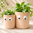 Peach Muse Face Planter Set of 2 - https://artecasa.in/