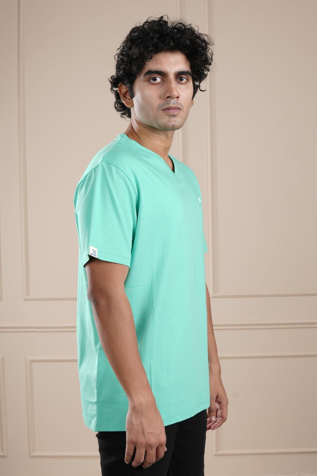 #color_holy-green
